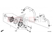HONDA CMX500AK CMX500 Rebel 2019 E-12 WATER PUMP