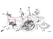 HONDA CRF450RXK CRF450RX 2019 E-2 CYLINDER HEAD