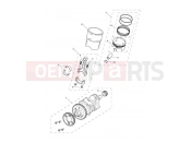 TRIUMPH Tiger 1200 Desert Crankshaft, Connecting Rods, Pistons & Liners