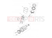Triumph 2021 Tiger 1200 Alpine Crankshaft, Connecting Rods, Pistons & Liners