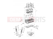 Triumph 2021 Tiger 1200 Alpine Cylinder Head & Valves