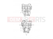 Triumph 2021 Tiger 1200 Alpine Crankcase Bolts
