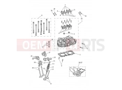 TRIUMPH Bonneville T100 Cylinder Head & Valves
