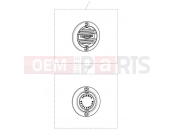 TRIUMPH Bonneville T100 ACG Badges
