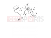 TRIUMPH Bonneville T100 Engine Management System