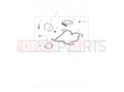 TRIUMPH Bonneville T100 Engine Service Kit