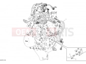 DUCATI 2022 Streetfighter V4 SP Engine Electrical System