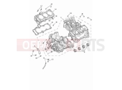 TRIUMPH Speed Triple 1200 RR Crankcase & fittings