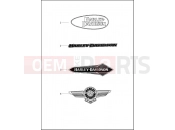 Harley-Davidson 2021 SOFTAIL SOFTAIL FAT BOB 114  - FXFBS FUEL TANK TRIM