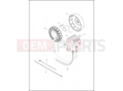 Harley-Davidson 2014 POLICE ELECTRA GLIDE STANDARD POLICE  - FLHTP ALTERNATOR & REGULATOR