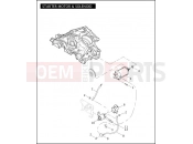 HARLEY-DAVIDSON V-ROD MUSCLE  - VRSCF STARTER MOTOR & SOLENOID