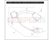 Harley-Davidson 2009 SIDECAR FLHX SIDECAR  - SIDECAR FOR FLHX HARNESS, BANK ANGLE SENSOR FOR 2009 MOTORCYCLES