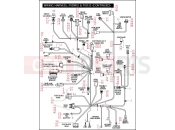 HARLEY-DAVIDSON DYNA LOW RIDER  - FXDLI WIRING HARNESS, FXDWGI & FXD35 (CONTINUED)