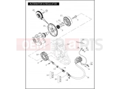Harley-Davidson 2006 VRSC VRSCR STREET ROD  - VRSCR ALTERNATOR & REGULATOR