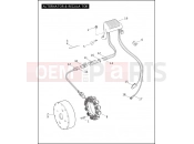Harley-Davidson 2004 POLICE ELECTRA GLIDE STANDARD POLICE  - FLHTPI ALTERNATOR & REGULATOR