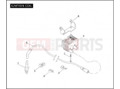 Harley-Davidson 2004 POLICE ELECTRA GLIDE STANDARD POLICE  - FLHTPI IGNITION COIL