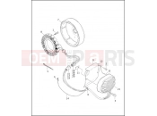 Harley-Davidson 2002 SOFTAIL FAT BOY  - FLSTFI ALTERNATOR & REGULATOR
