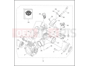 HARLEY-DAVIDSON FAT BOY  - FLSTF INDUCTION MODULE - FUEL INJECTED