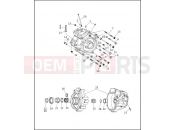 HARLEY-DAVIDSON SPRINGER SOFTAIL  - FXSTSB CRANKCASE - 1995 (1 OF 2)