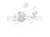 TRIUMPH Street Triple RS Crankcase & Fittings