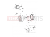 Triumph 2022 Street Triple R Starter & Alternator