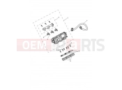 TRIUMPH Daytona Moto2 765 Throttles, Injectors & Fuel Rail