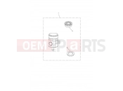 TRIUMPH Daytona Moto2 765 Rear Brake Reservoir 2