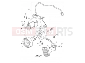 TRIUMPH Daytona Moto2 765 Starter & Alternator