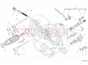 DUCATI 2020 Scrambler Desert Sled SHIFT CAM & FORK