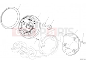 DUCATI 2020 Scrambler Desert Sled INSTRUMENT PANEL