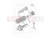 TRIUMPH Street Triple 765 RS Clutch