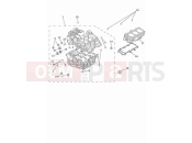 TRIUMPH Street Triple 765 RS Crankcase & fittings