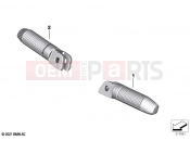 BMW Motorrad BMW 2021 S models S 1000 R (0E51, 0E53) Rider footrests