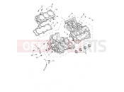 TRIUMPH Tiger 1200 Rally Pro Crankcase & Fittings