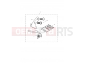 Triumph 2013 THUNDERBIRD Restrictor Kit, 25KW, Tamper Evident