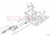 DUCATI Streetfighter V4 S Shift cam & fork