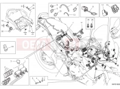 DUCATI 2024 Multistrada V2 S Travel Wiring harness