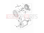 TRIUMPH Tiger 900 Rally Aragon Edition Starter & alternator