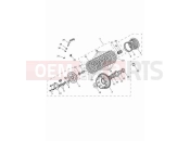 TRIUMPH Tiger 900 Rally Aragon Edition Clutch