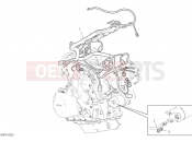 DUCATI Multistrada V4 S Full Wiring Harness (Coil)