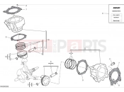 DUCATI DesertX Rally Cylinders & pistons
