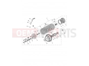 TRIUMPH Tiger 900 Rally Pro Clutch