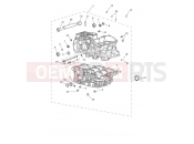 TRIUMPH Tiger 900 Rally Pro Crankcase & Fittings