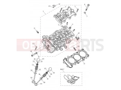 TRIUMPH Tiger 900 Rally Pro Cylinder Head & Valves