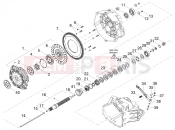 MOTOGUZZI V85 TT 850 (CDN, USA) Clutch