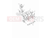TRIUMPH Tiger 1200 Rally Pro Emissions control