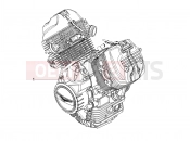 MOTOGUZZI V7 Special 850 (EU, UK) Engine-Completing part-Lever