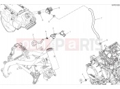 DUCATI Hypermotard 698 Mono Secondary air system