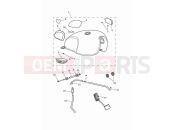 TRIUMPH Bonneville T100 Fuel tank - ice/green