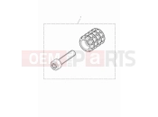 TRIUMPH Bonneville T100 Machined gear peg